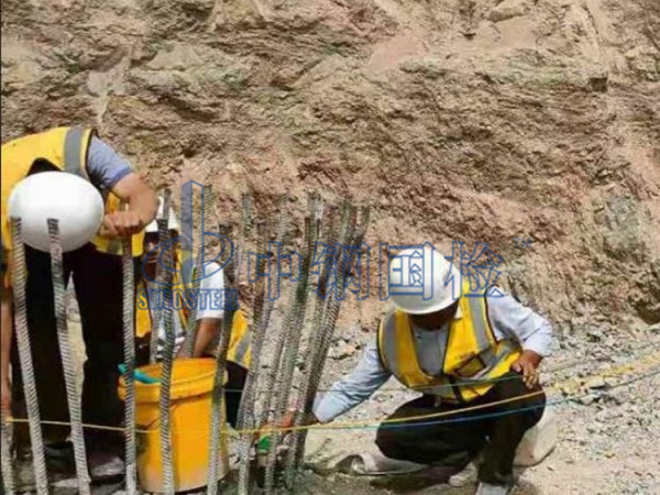 樁基現(xiàn)場檢測